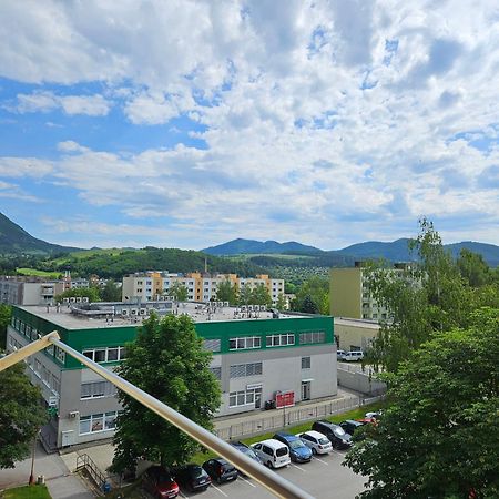 Wolf Apartman Pokojne Ubytovanie V Povazskej Bystrici Ticha Lokalita S Parkovanim Vsade Blizko Vhodne Pre Pracovne Cesty Turistiku Aj Oddych Plne Vybavena Kuchyna Поважска-Бистрица Экстерьер фото