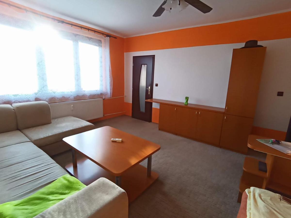 Wolf Apartman Pokojne Ubytovanie V Povazskej Bystrici Ticha Lokalita S Parkovanim Vsade Blizko Vhodne Pre Pracovne Cesty Turistiku Aj Oddych Plne Vybavena Kuchyna Поважска-Бистрица Экстерьер фото